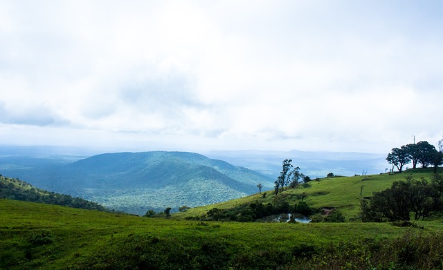 赛中找到进 赛中找到进